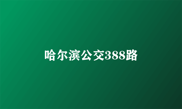 哈尔滨公交388路