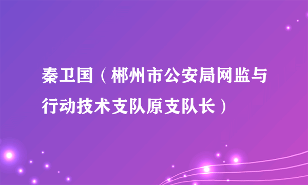 秦卫国（郴州市公安局网监与行动技术支队原支队长）