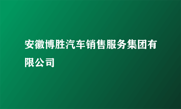 安徽博胜汽车销售服务集团有限公司