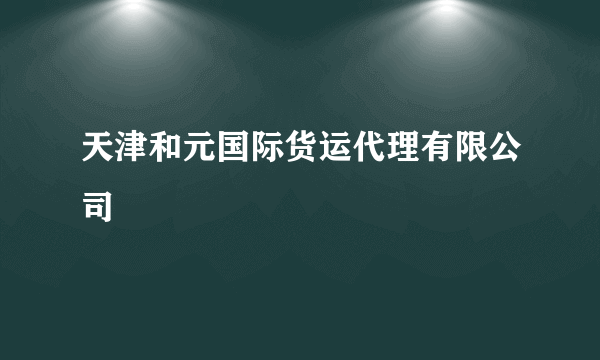 天津和元国际货运代理有限公司