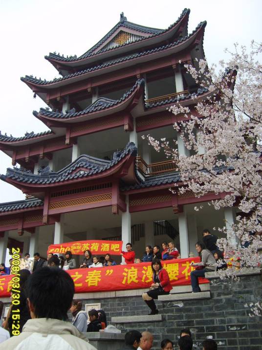 中日樱花友谊林