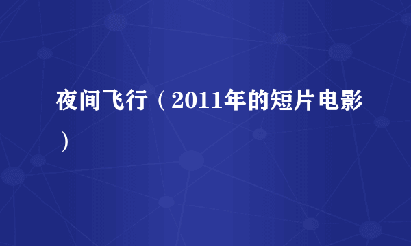 夜间飞行（2011年的短片电影）