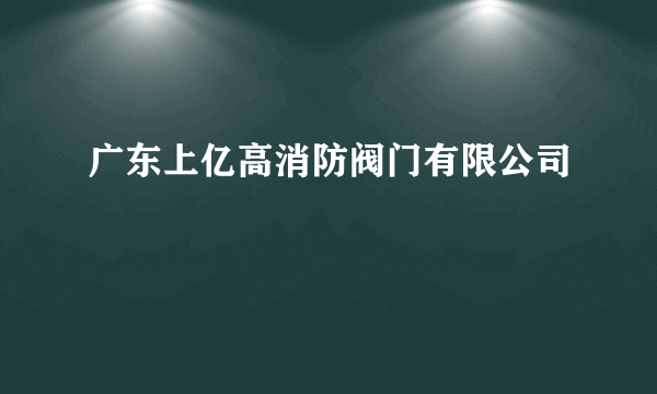 广东上亿高消防阀门有限公司