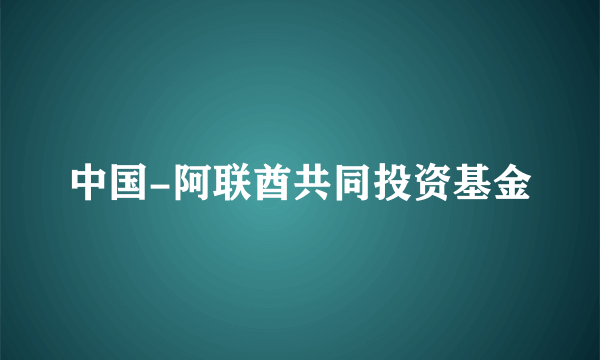 中国-阿联酋共同投资基金