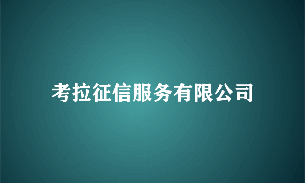 考拉征信服务有限公司