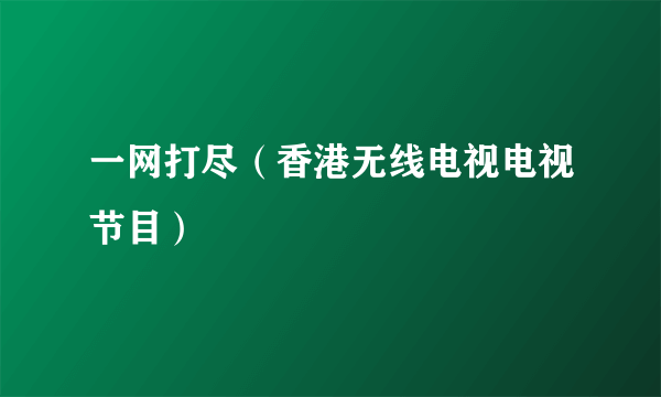 一网打尽（香港无线电视电视节目）