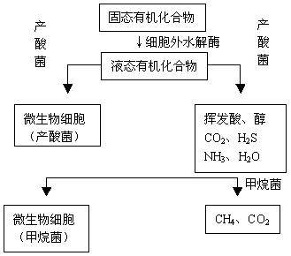 废水生物处理法