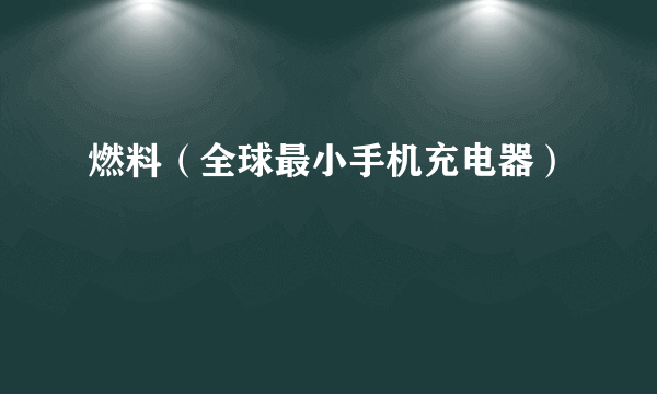 燃料（全球最小手机充电器）