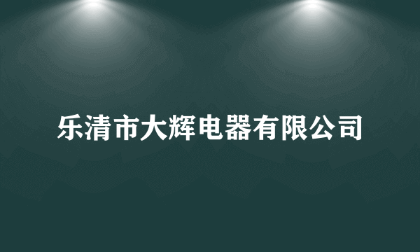 乐清市大辉电器有限公司