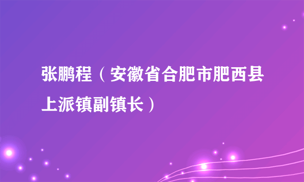 张鹏程（安徽省合肥市肥西县上派镇副镇长）