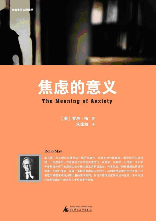 焦虑的意义（2010年广西师范大学出版社出版发行的图书）