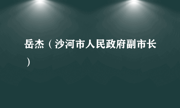 岳杰（沙河市人民政府副市长）