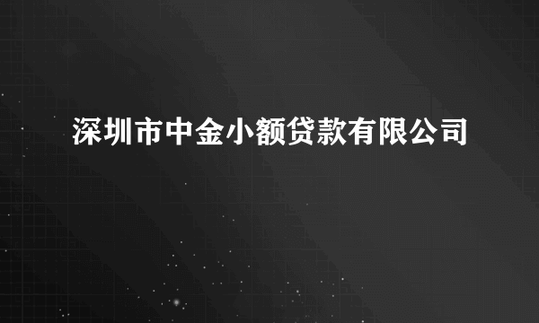 深圳市中金小额贷款有限公司