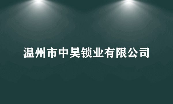 温州市中昊锁业有限公司