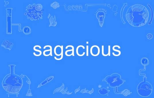 sagacious