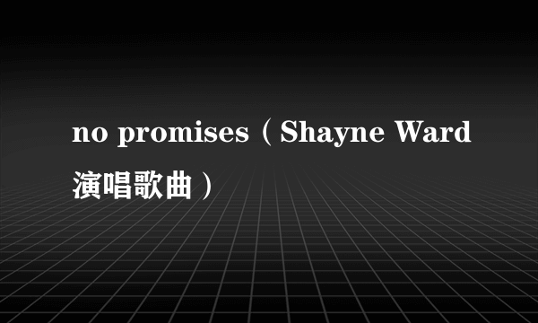 no promises（Shayne Ward演唱歌曲）