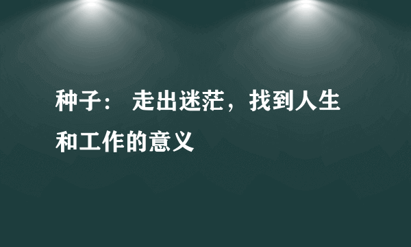 种子： 走出迷茫，找到人生和工作的意义