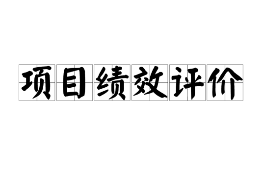 项目绩效评价