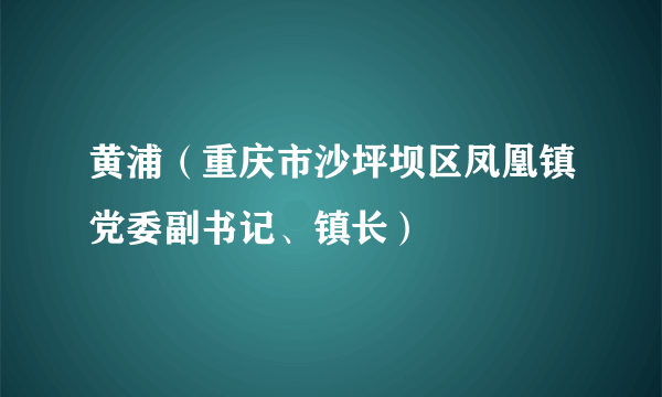 黄浦（重庆市沙坪坝区凤凰镇党委副书记、镇长）