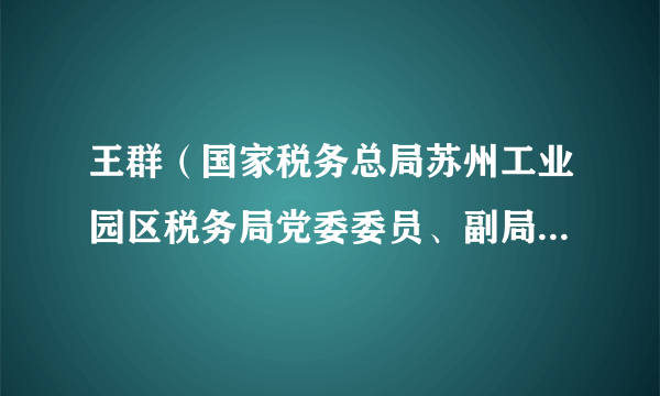 王群（国家税务总局苏州工业园区税务局党委委员、副局长、三级高级主办）