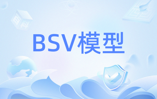 BSV模型