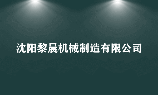 沈阳黎晨机械制造有限公司