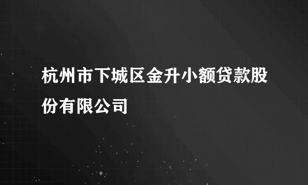 杭州市下城区金升小额贷款股份有限公司