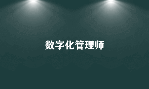 数字化管理师