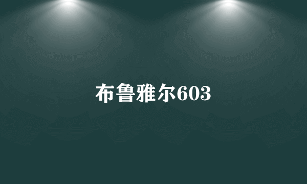 布鲁雅尔603