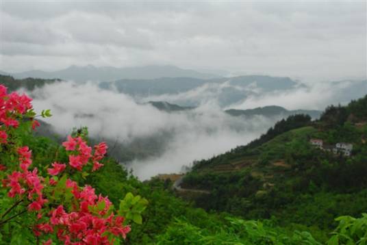 英山县桃花冲风景区