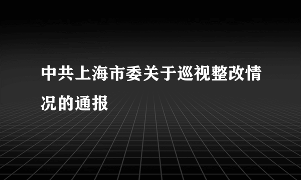 中共上海市委关于巡视整改情况的通报