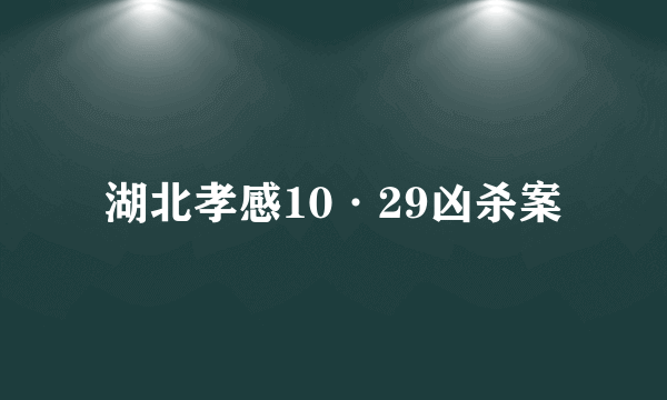 湖北孝感10·29凶杀案