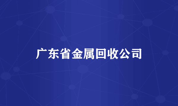 广东省金属回收公司