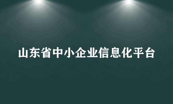 山东省中小企业信息化平台