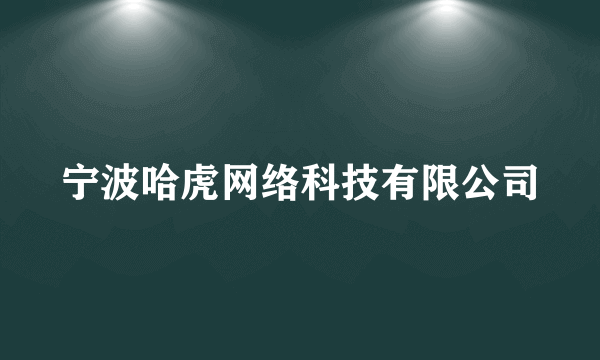 宁波哈虎网络科技有限公司