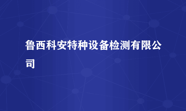 鲁西科安特种设备检测有限公司