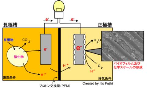 微生物燃料电池