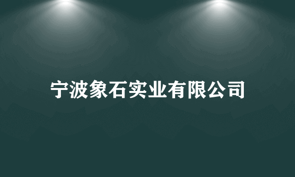 宁波象石实业有限公司