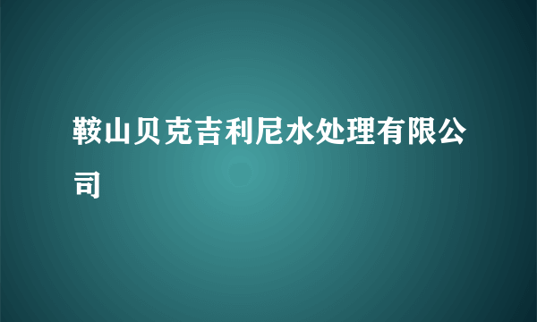 鞍山贝克吉利尼水处理有限公司