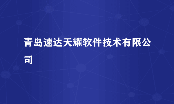 青岛速达天耀软件技术有限公司