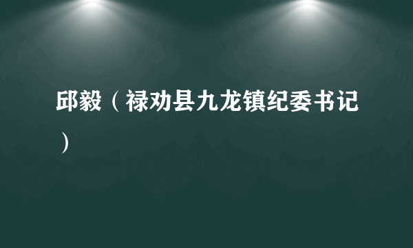 邱毅（禄劝县九龙镇纪委书记）