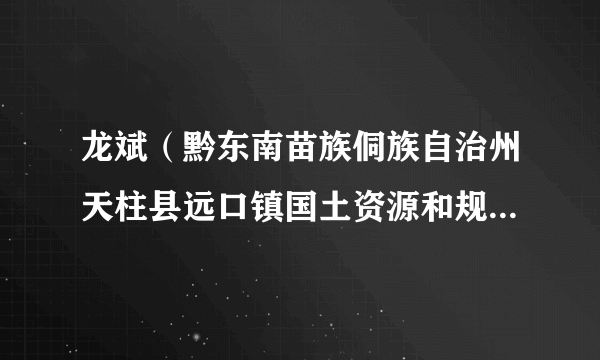 龙斌（黔东南苗族侗族自治州天柱县远口镇国土资源和规划建设环保办公室主任、一级科员）