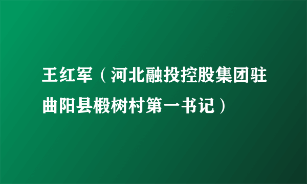 王红军（河北融投控股集团驻曲阳县椴树村第一书记）