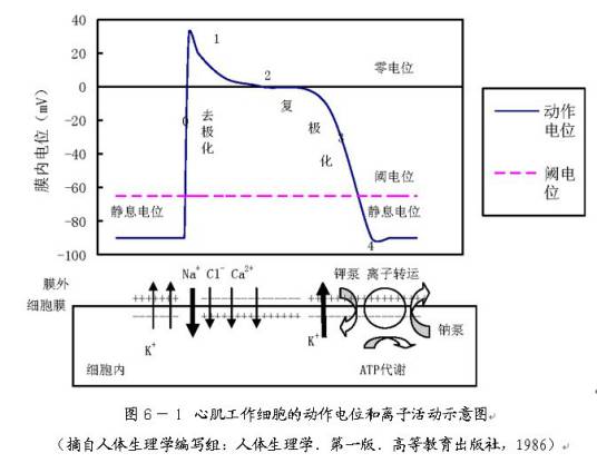 生物电信号