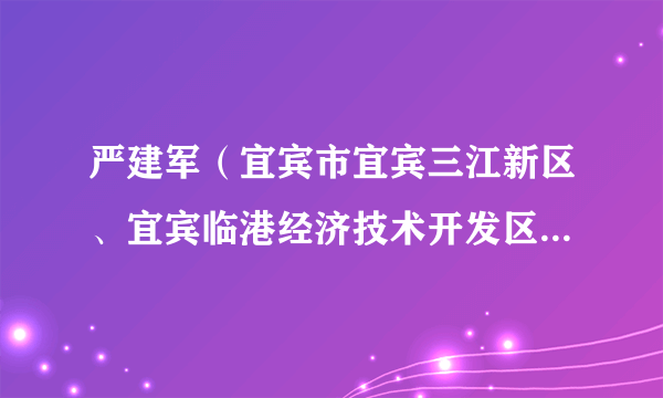 严建军（宜宾市宜宾三江新区、宜宾临港经济技术开发区办公室（目标绩效管理办公室）原主任）