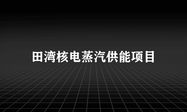 田湾核电蒸汽供能项目