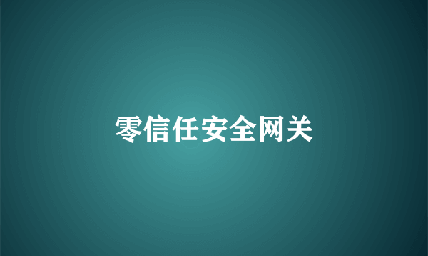 零信任安全网关