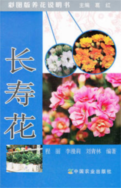 长寿花（彩图版养花说明书）