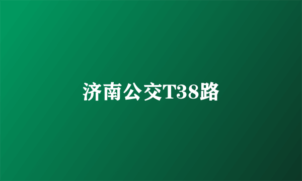 济南公交T38路