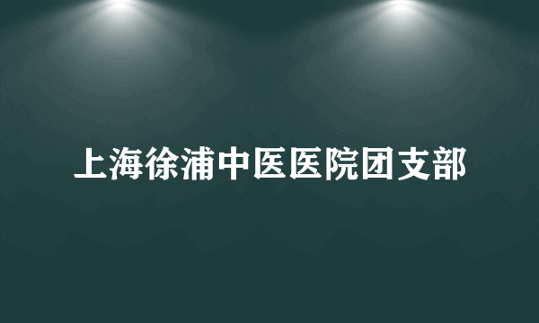 上海徐浦中医医院团支部